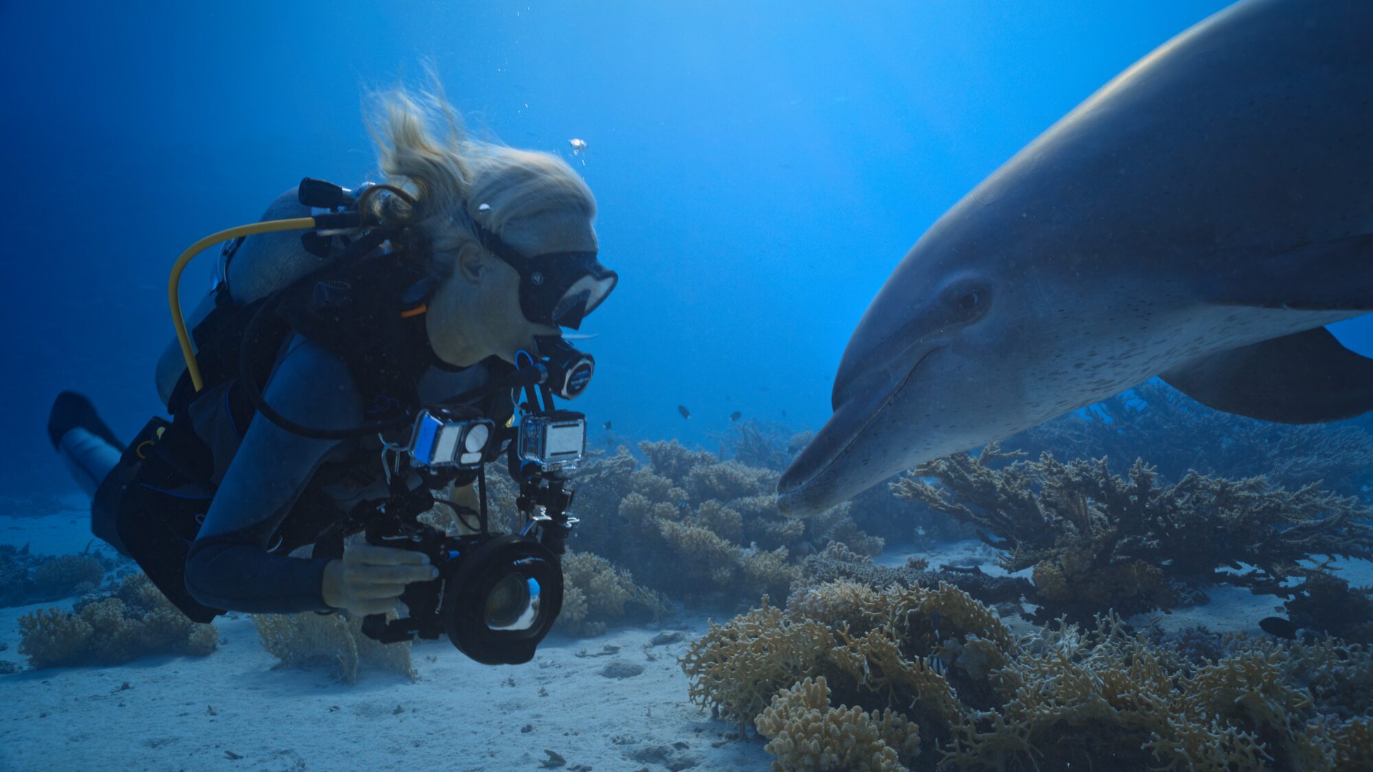 Credit_ Jeff Hester _ Silverback Films (3)