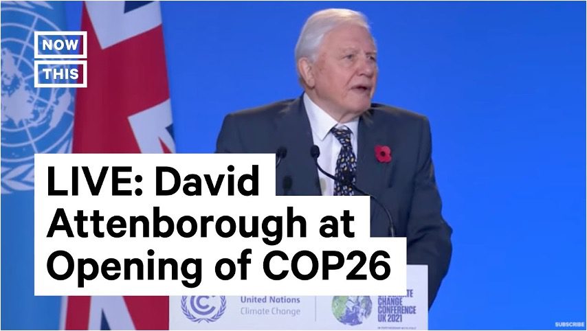 Sir David Attenborough at the COP26 Opening Ceremony